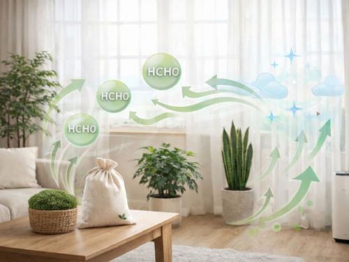 天然除甲醛與室內空氣改善:健康住宅設計重點 天然除甲醛與室內空氣改善:健康住宅設計重點